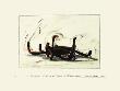 Combinaison Aleatoire De Lignes Indeterminees 9 by Bernar Venet Limited Edition Pricing Art Print