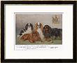 Four Types Of King Charles Clevedon Champions by Frances C. Fairman Limited Edition Pricing Art Print