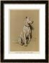 The Ugliest Dog In The Show by Cecil Aldin Limited Edition Print