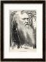 Charles Darwin, Depicted As A Wild Man Of The Jungle by F. Waddy Limited Edition Pricing Art Print