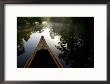 Canoeing Alexander Springs Creek, Ocala National Forest, Florida by Maresa Pryor Limited Edition Print