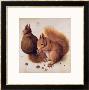 Squirrels, 1512 by Albrecht Dã¼rer Limited Edition Print