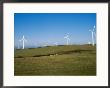 Wind Turbines Generating Electricity, Cornwall by Bob Gibbons Limited Edition Pricing Art Print