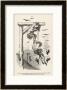 The Uses Of Pantagruelion by Gustave Dore Limited Edition Pricing Art Print