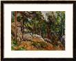 The Rocks In The Park Of The Chateau Noir, 1898-1899 by Paul Cezanne Limited Edition Print