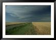 Wheat, Kansas by Everett Johnson Limited Edition Print