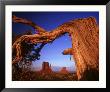 Fallen Tree In Monument Valley, Arizona by Henryk T. Kaiser Limited Edition Print