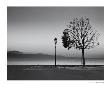 Lutry, Lac Leman by Christian Coigny Limited Edition Print