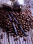 Still Life With Coffee Beans And Vanilla Pods by Jorn Rynio Limited Edition Print