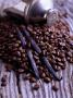 Still Life With Coffee Beans And Vanilla Pods by Jorn Rynio Limited Edition Pricing Art Print