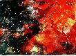 Cosmos Ii (Rot) by Bernd Zimmer Limited Edition Print