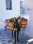 Donkey And Food In Baskets For Sale, Mykonos, Gree by Phyllis Picardi Limited Edition Print