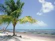 Tropical Beach, Florida Keys, Fl by Masa Kono Limited Edition Pricing Art Print