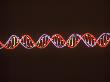 Dna - Double Helix by Jacob Halaska Limited Edition Print