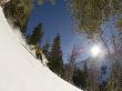 Man Telemark Skiing In Honeycomb Canyon, Wasatch Mountains, Usa by Mike Tittel Limited Edition Print