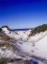 Sand Dunes, Pandhandle Of Florida by Bill Bachmann Limited Edition Print