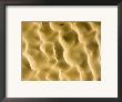 These Radiant Dunes Are Located Outside Of N'guigmi, Niger by Michael Fay Limited Edition Pricing Art Print