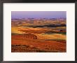View Of Colorful Palouse Farm Country At Twilight, Washington, Usa by Dennis Flaherty Limited Edition Print