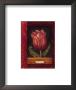 Red Tulips by Herve Libaud Limited Edition Print