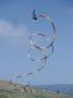 A Long-Tailed Kite Soars At The Berkeley Marina Park by Stephen Sharnoff Limited Edition Pricing Art Print