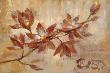 Copper Branch by Silvia Vassileva Limited Edition Print