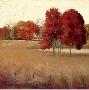 Pastoral View Ii by Jill Schultz Mcgannon Limited Edition Print