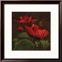 Vibrant Red Poppies Ii by Gloria Eriksen Limited Edition Pricing Art Print
