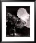 Montgomery Tunnel Near Christiansburg, Virginia, 1957 by O. Winston Link Limited Edition Print