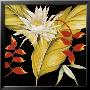 Tropical Bouquet I by Cheryl Kessler-Romano Limited Edition Print
