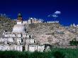 Shey Gompa, Buddhist Monastery In Ladakh Region, Shey, Jammu & Kashmir, India by Bill Wassman Limited Edition Pricing Art Print