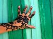 Traditional Henna Painting On Hand, Egypt by Juliet Coombe Limited Edition Pricing Art Print