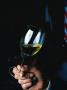 Glass Of White Wine, Sauternes, France by Lee Foster Limited Edition Print
