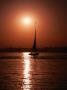 Felucca On Nile River At Sunset, Luxor, Egypt by Cheryl Conlon Limited Edition Pricing Art Print