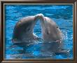 Dolphin Kiss by Himani Limited Edition Print