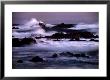 Pacific Wind by Bob Talbot Limited Edition Print