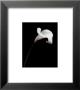 Calla by Sara Liu Limited Edition Pricing Art Print