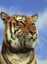 Bengal Tiger, Panthera Tigris Native To Asian Forests by Brian Kenney Limited Edition Print