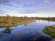 Estonian Bogs, Estonia by Niall Benvie Limited Edition Print