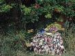 Chairs And A Table With A Floral Cloth And Salad Dishes Outside Amongst Long Grass Alfresco by Linda Burgess Limited Edition Print