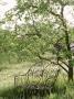 Black Metal Bench Underneath Tree In Wildflower Garden by Mark Bolton Limited Edition Print