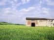 Farmhouse In Tuscany, Italy by Bill Bachmann Limited Edition Print