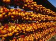 Ceremonial Gourds At A Shinto Temple On Ksushu Island, Japan by James Marshall Limited Edition Print