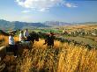 Horse Riding At Bokpoort, Free State, South Africa by Roger De La Harpe Limited Edition Pricing Art Print