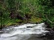 Rapids In Lulledalen Nature Park, North Norway by Heikki Nikki Limited Edition Print