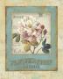 Flower Shop I by Lisa Audit Limited Edition Pricing Art Print