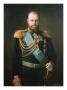 Alexander Iii, 1884 (Oil On Board) by Danish Limited Edition Print