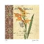 Gladiolus I by Paula Scaletta Limited Edition Pricing Art Print