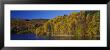 Forest At The River Side, Highland Perthshire, Loch Faskally, Scotland by Panoramic Images Limited Edition Print