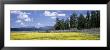 Wildflowers In A Field, Fremont National Forest, Lakeview, Oregon, Usa by Panoramic Images Limited Edition Pricing Art Print