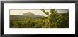 Vineyard On A Landscape, La Rioja, Cellorigo, Spain by Panoramic Images Limited Edition Print